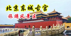 黑丝日本美女被抢奸网站中国北京-东城古宫旅游风景区